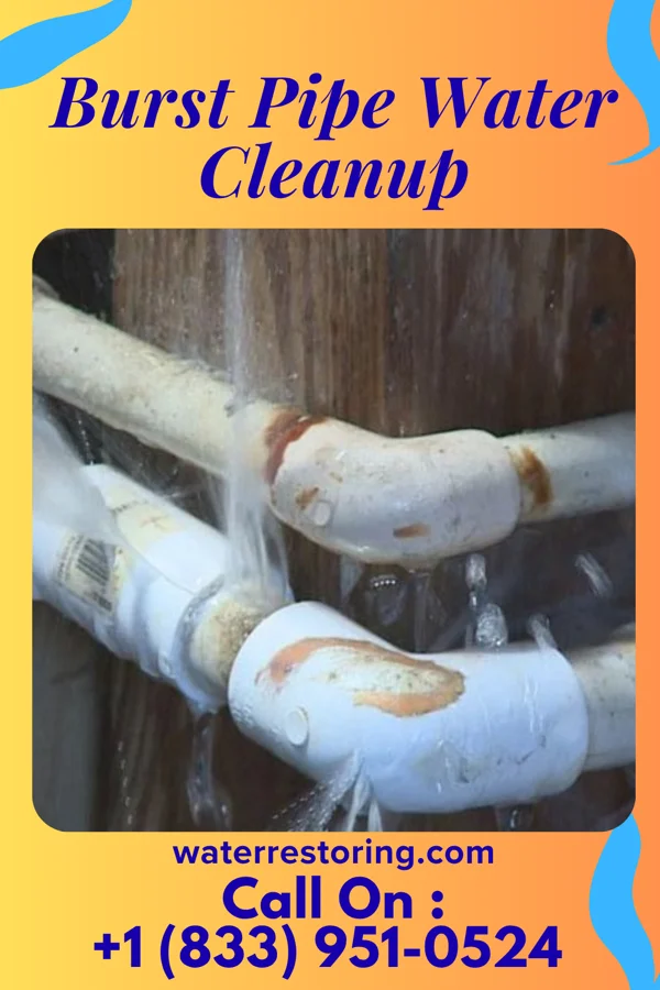 Burst Pipe Water Cleanup in Hatfield, AR